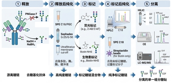 新闻图片1