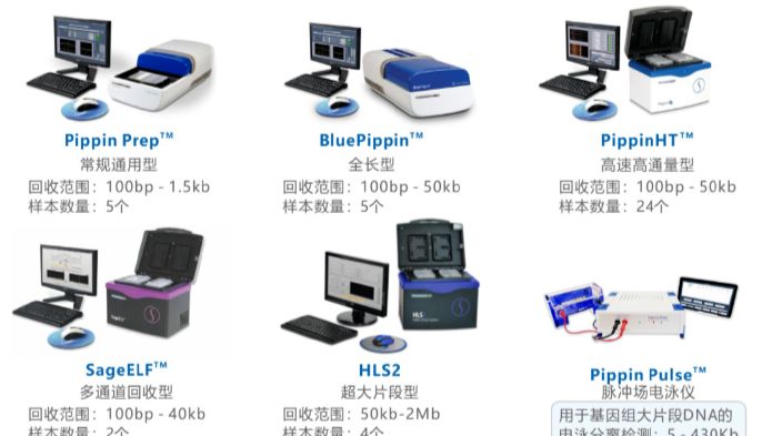 Blue Pippin全自动大片段DNA回收仪用于ONT纳米孔测序建库助力精准生殖医学检测研究
