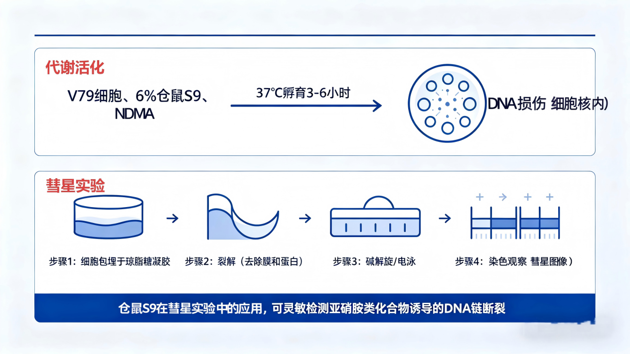 代谢π析 7-7.png