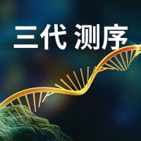 Single-cell nanopore FL RNA测序