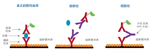 新闻图片1