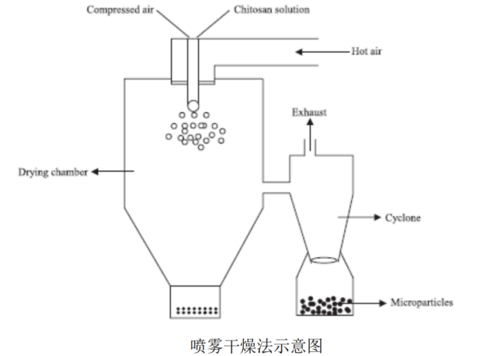 新闻图片5