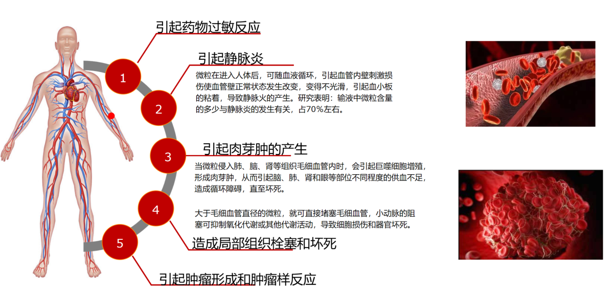 新闻图片5