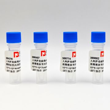 人柯萨奇病毒A16型核糖核酸液体室内质控品