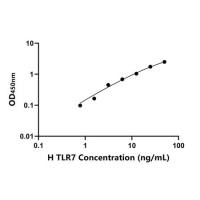 人Toll样受体7(TLR7)ELISA试剂盒