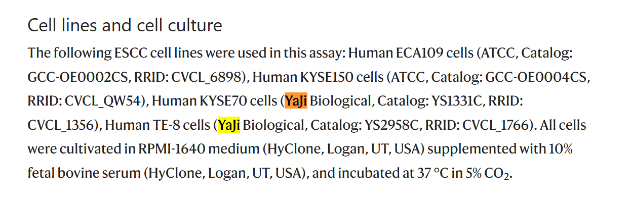 高分文献引用明星产品|KYSE70人食管鳞癌细胞
