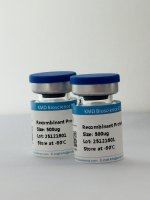 重组人CD33蛋白|Recombinant Human CD33 Protein, C-hFc and His tag