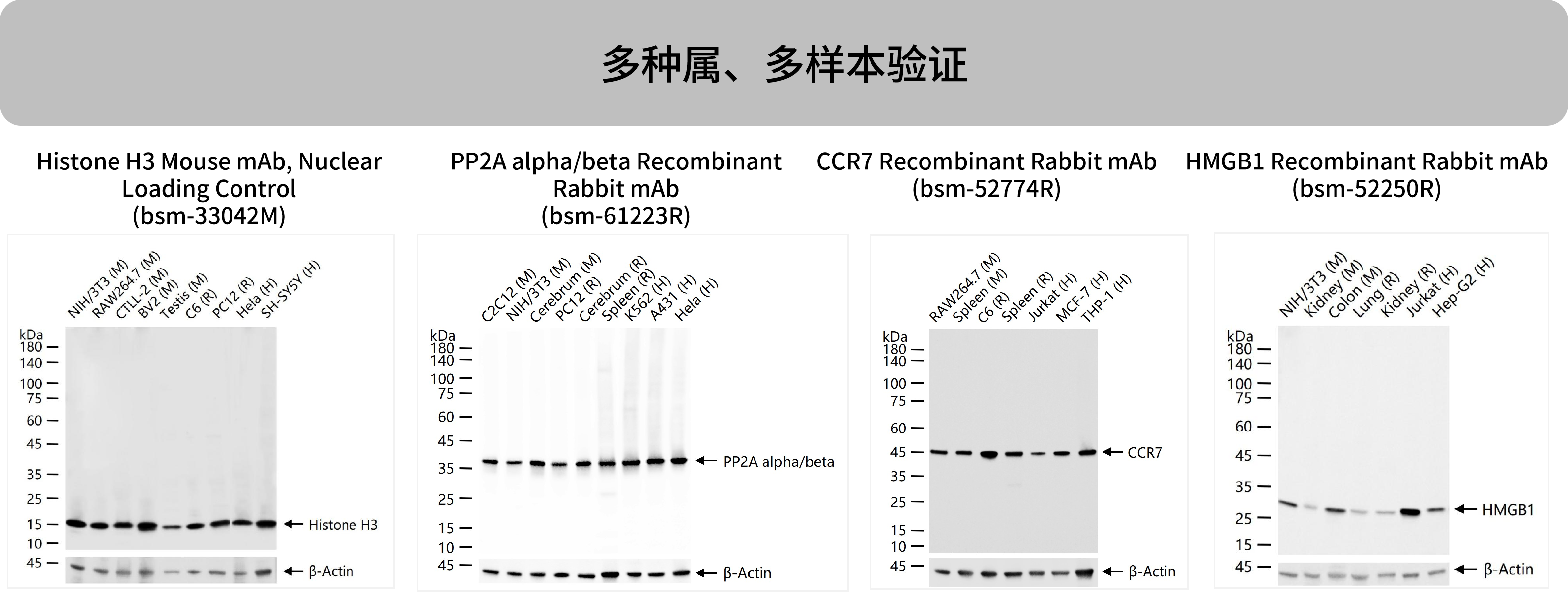 新闻图片4