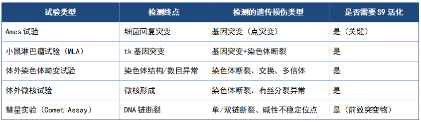 代谢π析 7-2.png