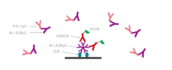 新闻图片1
