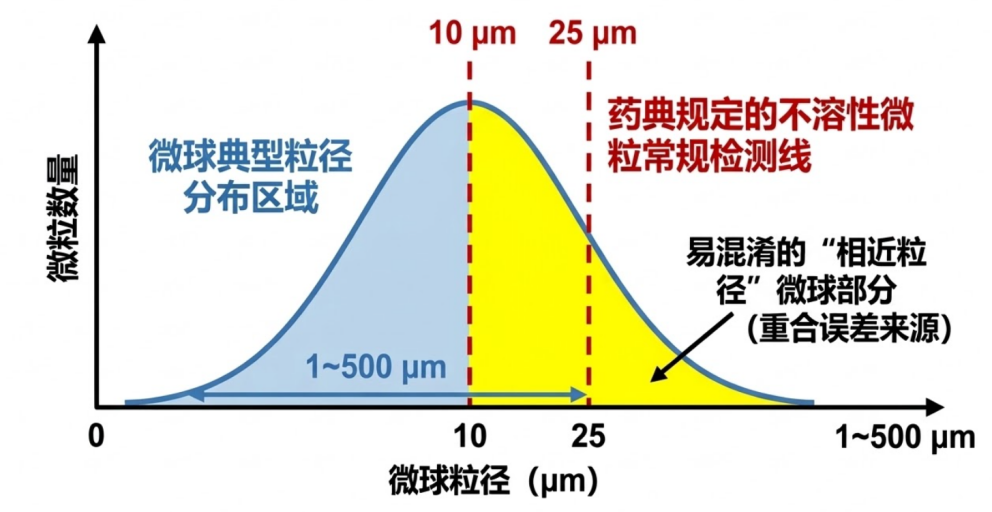 新闻图片4