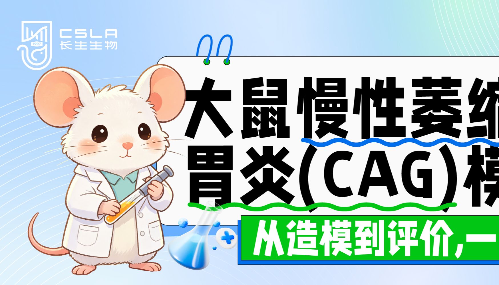 一文讲透大鼠慢性萎缩性胃炎（CAG）模型：造模到评价一步到位