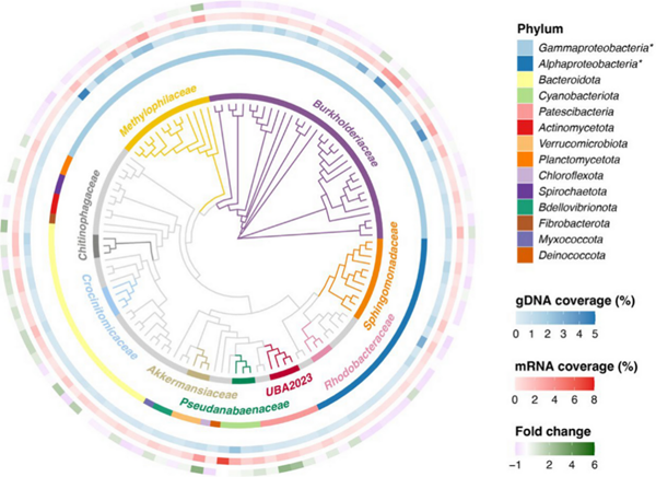 Bertin Precellys研磨器/研磨仪用户文章分享,瑞士洛桑联邦理工学院发表在Microbiome “Experimental insights in taxon-specific functional responses to droughts in glacier-fed stream biofilms” 报告
