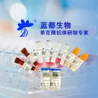 鼠抗猪口蹄疫病毒O型VP1配对单克隆抗体