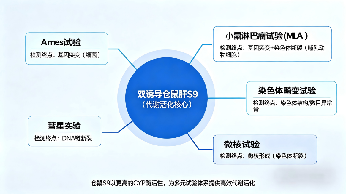 代谢π析 7-1.png