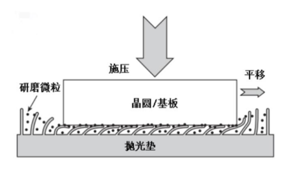 新闻图片4