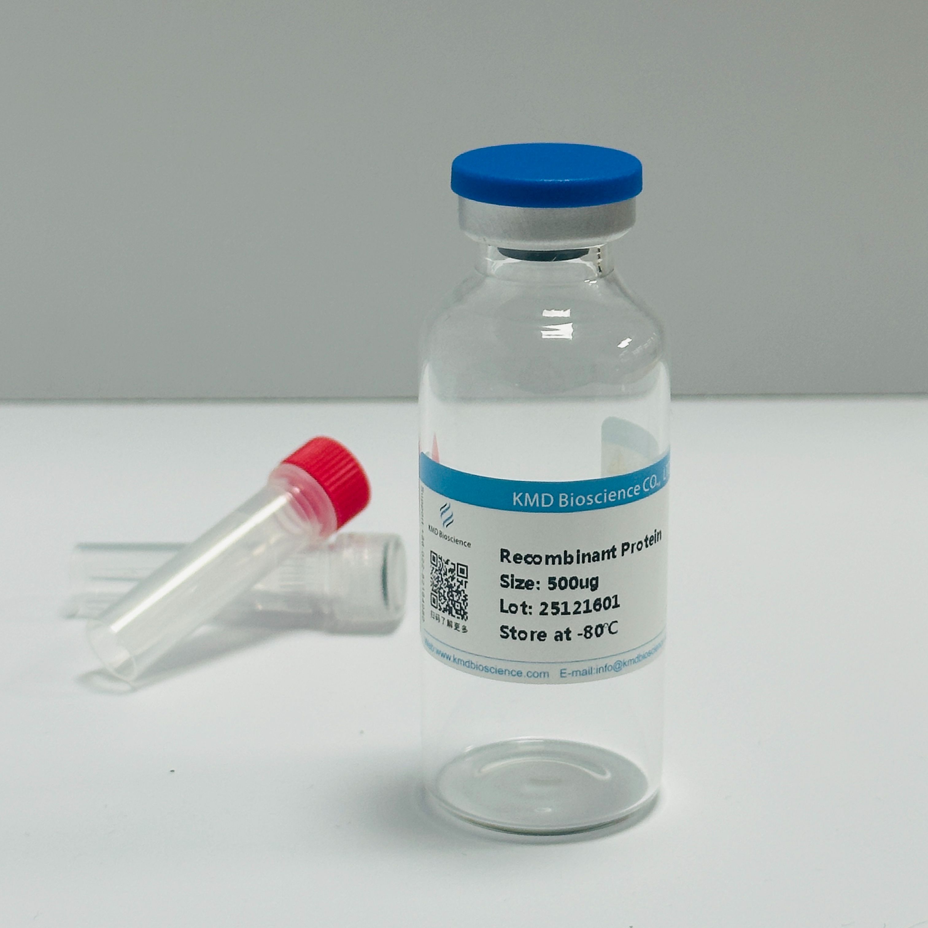Recombinant Human CD19 Protein, His Tag