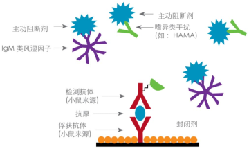 新闻图片3