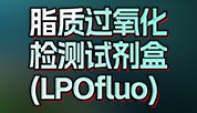 脂质过氧化秘宝，深度解析铁死亡