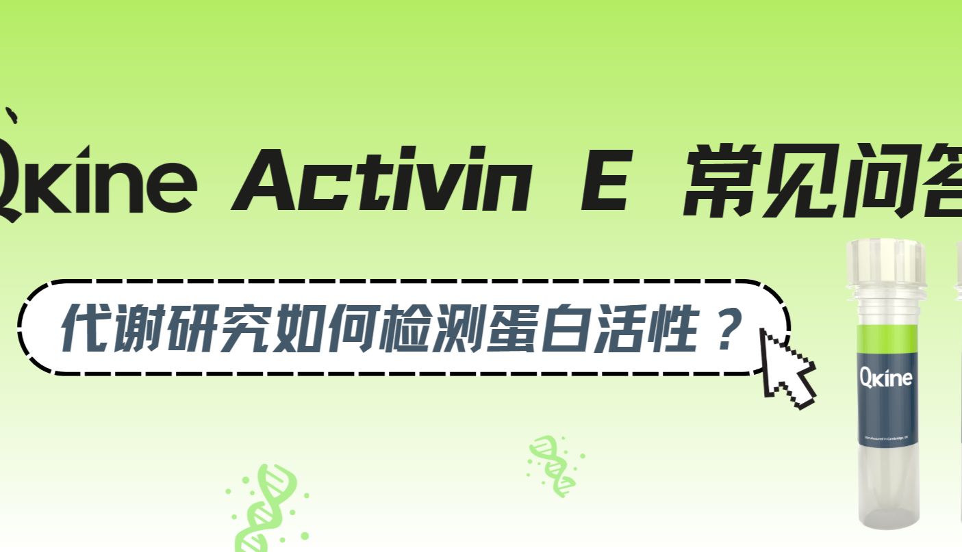 重组人激活素Activin E常见问答FAQ：代谢研究如何检测蛋白活性？