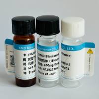 科研级Omalizumab(奥马珠单抗) Anti-IGHE重组抗体 IGHE参照抗体