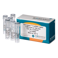 CircLigase™ II ssDNA Ligase
