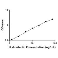 人可溶性E选择素(sE-selectin)ELISA试剂盒