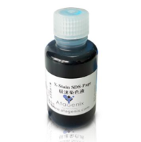 X-Stain SDS-PAGE Rapid Staining Solution, X-Stain SDS-PAGE极速染色液