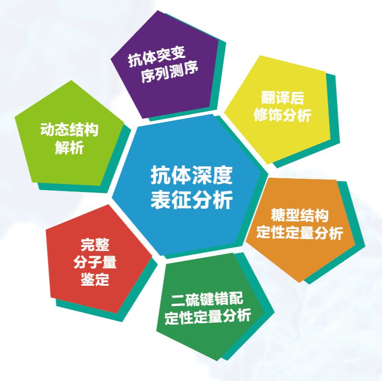 生物药深度表征