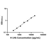 人黄体激素β肽(LHb)ELISA试剂盒