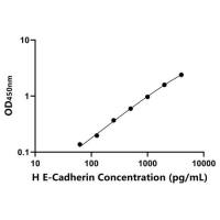 人E-钙粘附分子(E-Cadherin) ELISA试剂盒