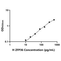 人锌指蛋白36(ZFP36)ELISA试剂盒