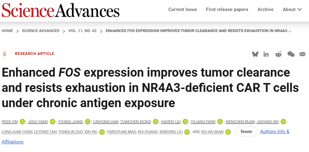 赋能 CAR-T 研究新发现！Tissue Cytometry技术解锁实体瘤免疫治疗关键证据