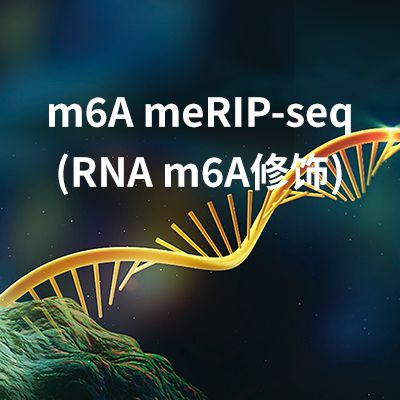 m6A meRIP-seq(RNA m6A修饰)