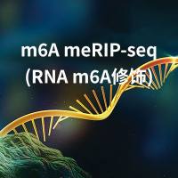 m6A meRIP-seq(RNA m6A修饰)