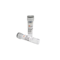 InVivoMAb Anti-SARS-CoV-2 RBD (JN.1) Neutralizing Antibody (Iv0221), InVivoMAb 抗SARS-CoV-2RBD (JN.1) Neutralizing抗体 (Iv0221)