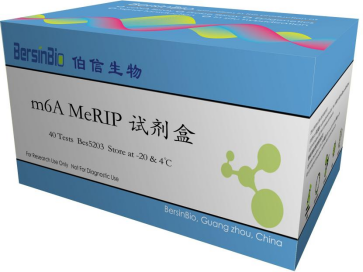 新闻图片9