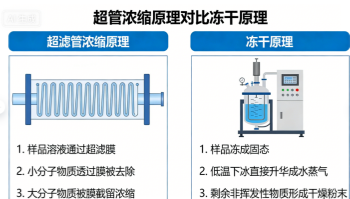 新闻图片2