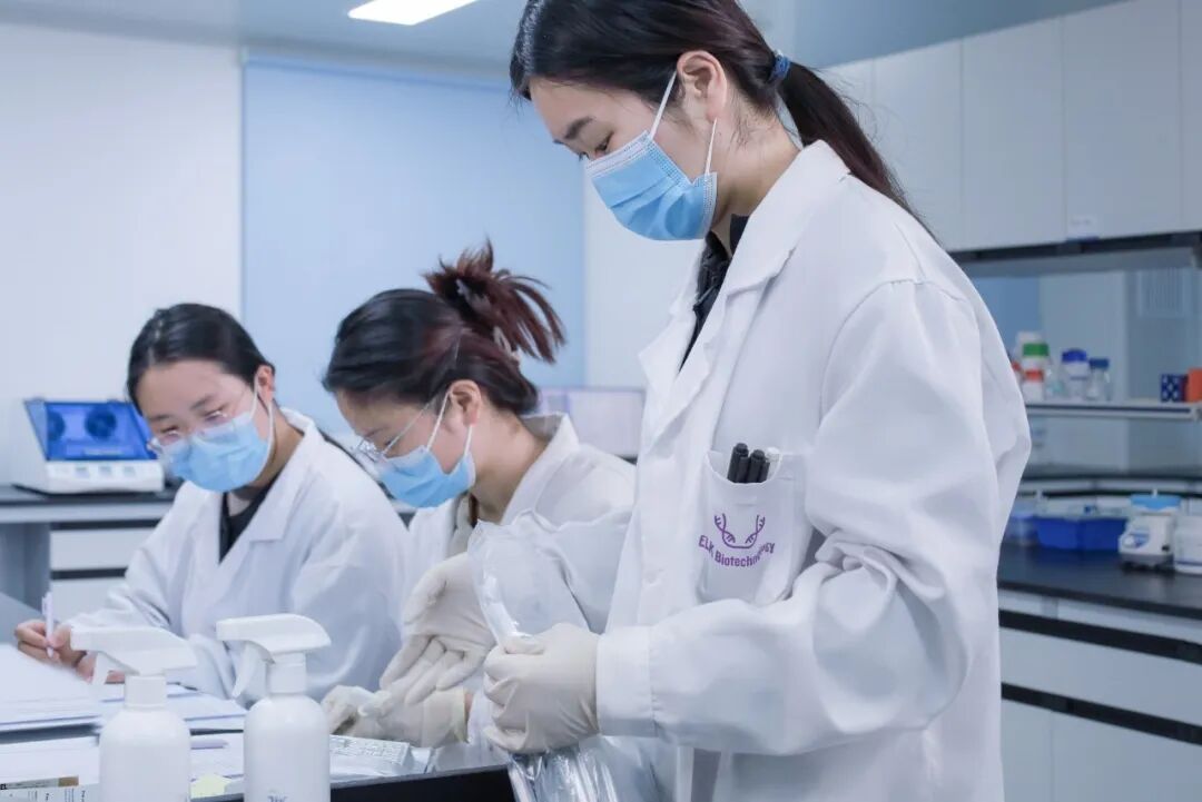 技术分享 | WB 实验全流程 详解与优化指南