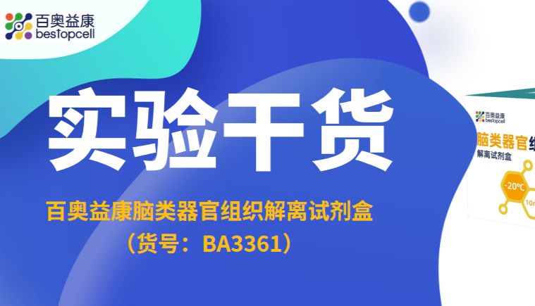 实验干货 | 脑类器官解离一步到位！百奥益康 BA3361，轻松拿到高活单细胞悬液