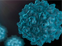 ShRNA AAV包装构建服务-干扰AAV构建服务