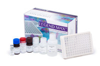 LEGEND MAX™ Human Uncarboxylated Osteocalcin ELISA Kit