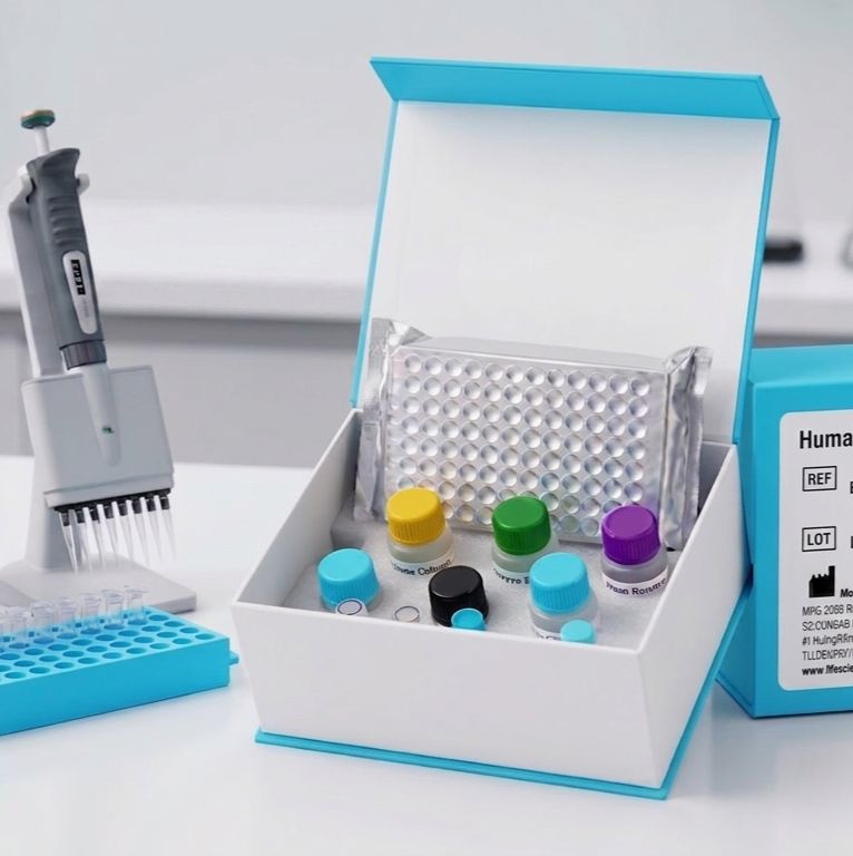 Human HLA class I histocompatibility antigen,Cw-8 alpha chain,HLA-C ELISA KIT