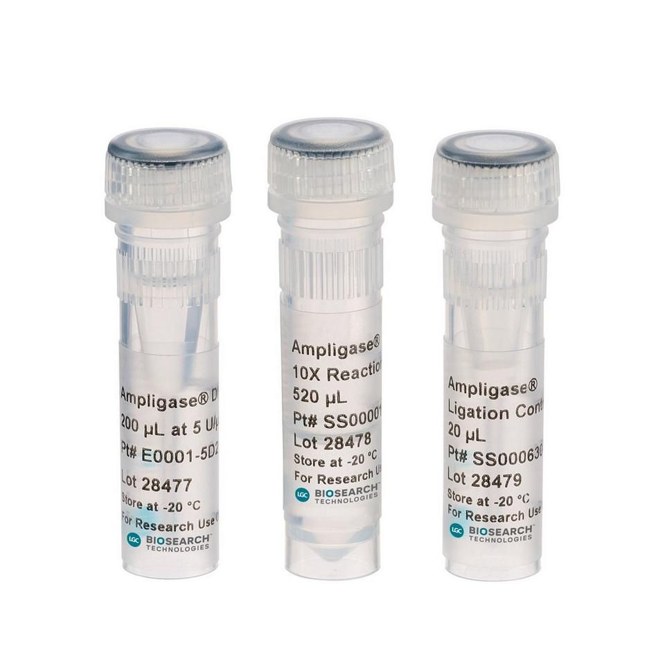 Ampligase® DNA Ligase with Buffer