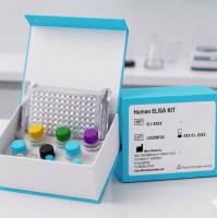 Human choline phosphoglyceride ELISA Kit