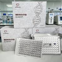 鱼（Fish）鱼二酰甘油激酶 α（DGKa）ELISA检测试剂盒