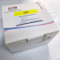 8分钟RNA快速提取试剂盒 EZ-press RNA Purification Kit （B0004DP）