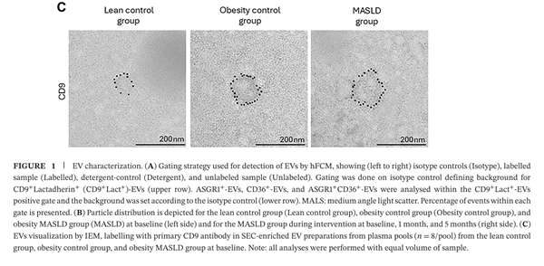 ApogeeFlow纳米流式仪文章分享,丹麦奥尔堡大学科研小组发表在ISEV “Circulating Liver-Derived and CD36+ Extracellular Vesicles Correlate With Ectopic Liver Fat and Markers of Fibrosis in Metabolic Dysfunction-Associated Steatot