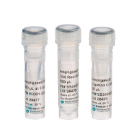 Ampligase® DNA Ligase with Buffer