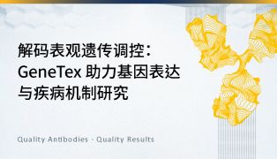 解码表观遗传调控：GeneTex 助力基因表达与疾病机制研究